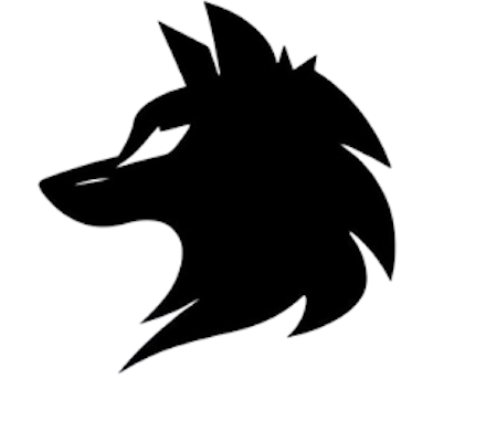 Lupus Partners Logo